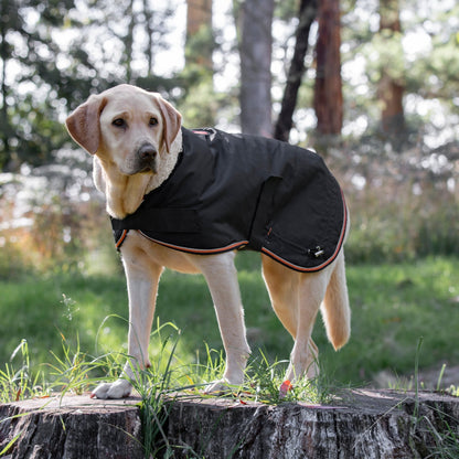 Ruff N Rugged Trail Blazer Dog Coat - My Pooch and Me