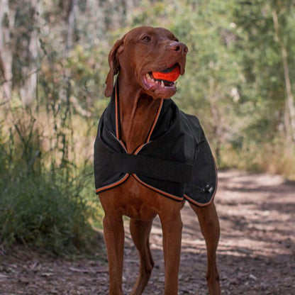 Ruff N Rugged Trail Blazer Dog Coat - My Pooch and Me