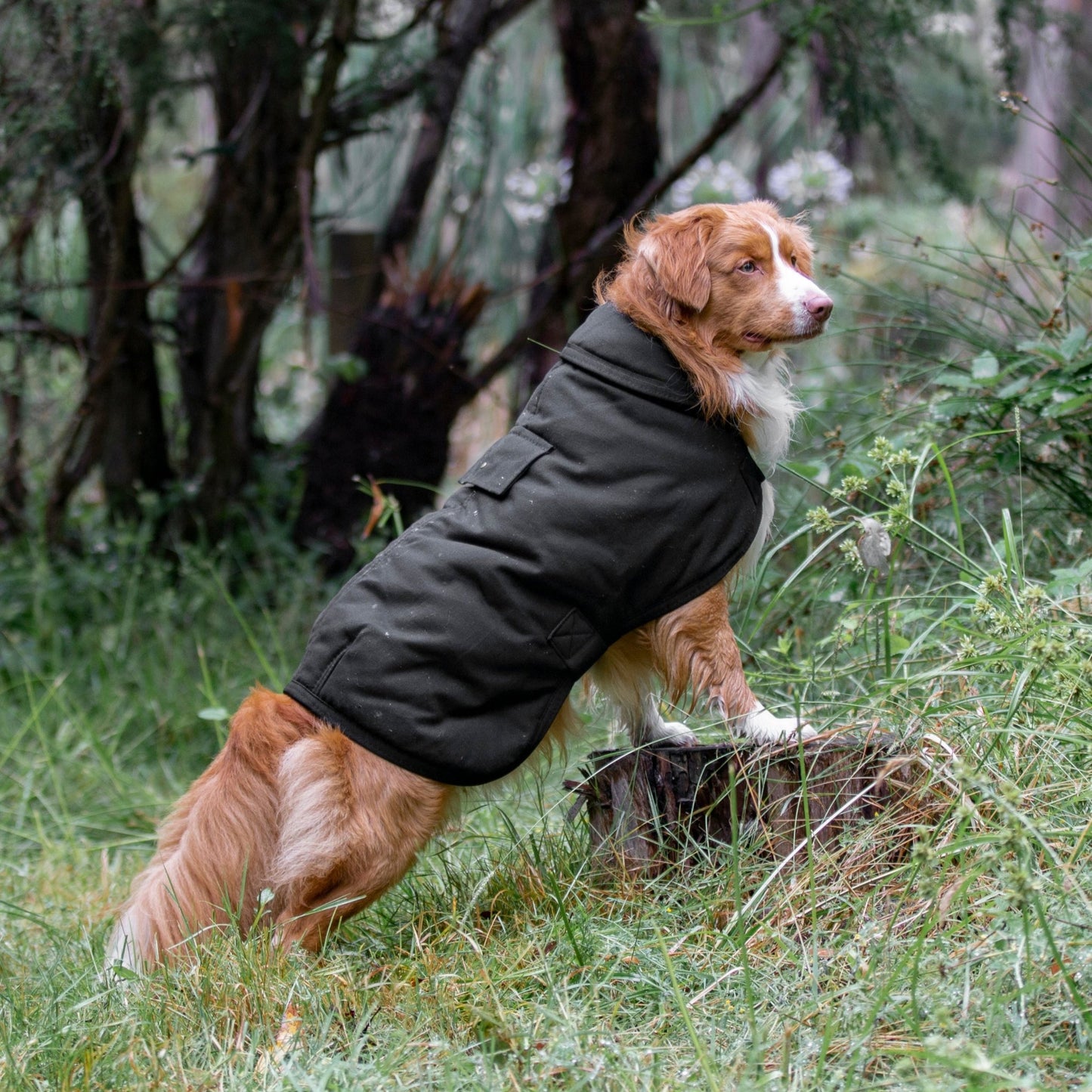 Ruff N Rugged Water - Resistant Black Canvas Dog Coat - My Pooch and Me