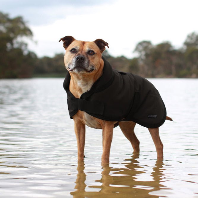 Ruff N Rugged Water - Resistant Black Canvas Dog Coat - My Pooch and Me