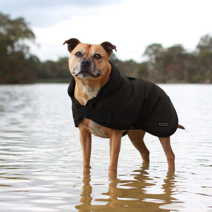 Ruff N Rugged Water - Resistant Black Canvas Dog Coat - My Pooch and Me