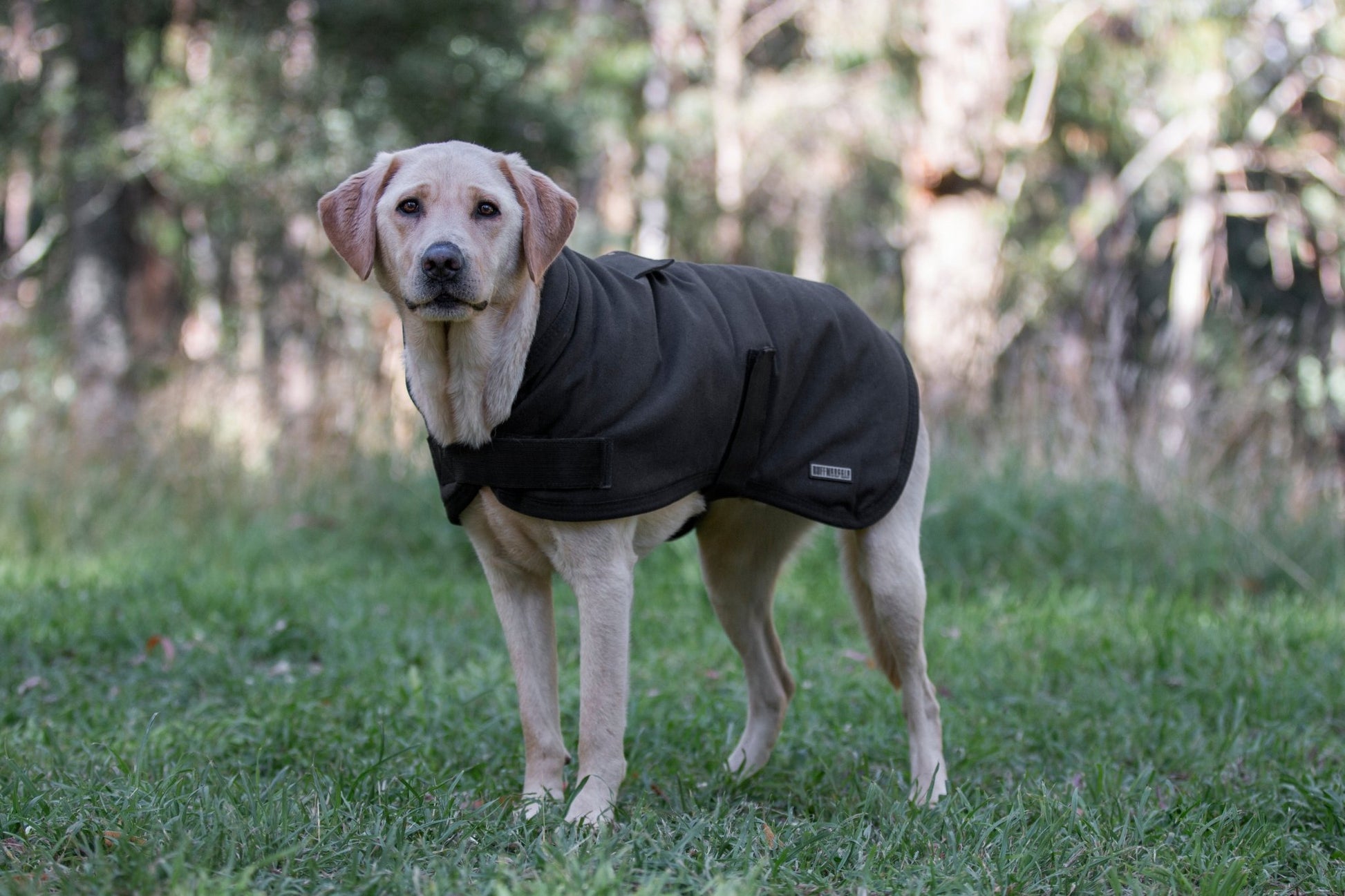 Ruff N Rugged Water - Resistant Black Canvas Dog Coat - My Pooch and Me