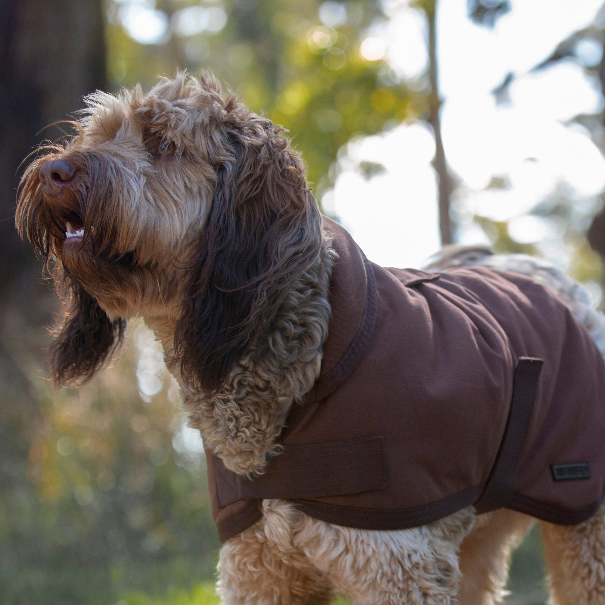 Ruff N Rugged Water - Resistant Brown Canvas Dog Coat - My Pooch and Me