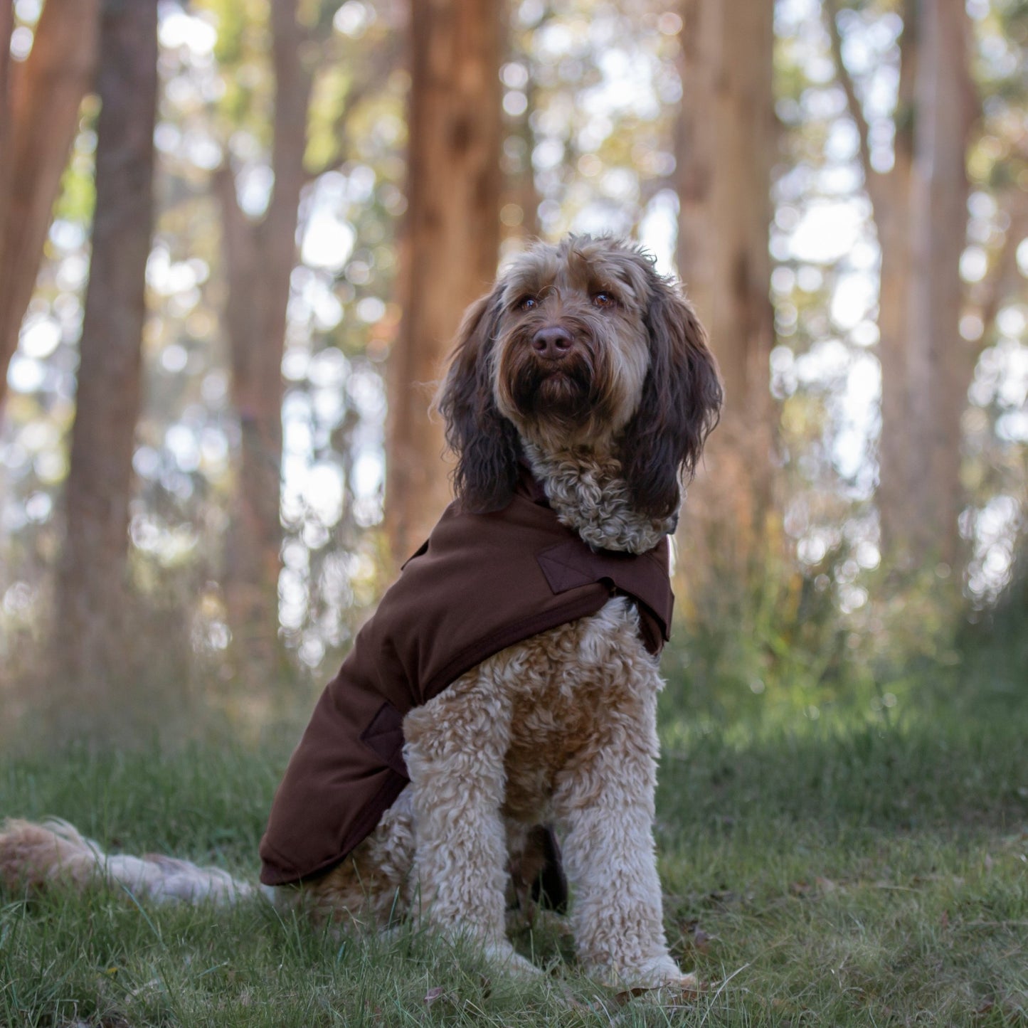 Ruff N Rugged Water - Resistant Brown Canvas Dog Coat - My Pooch and Me