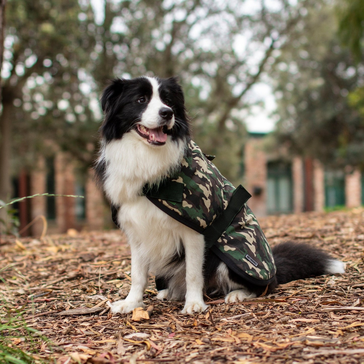 Ruff N Rugged Water - Resistant Camouflage Canvas Dog Coat - My Pooch and Me