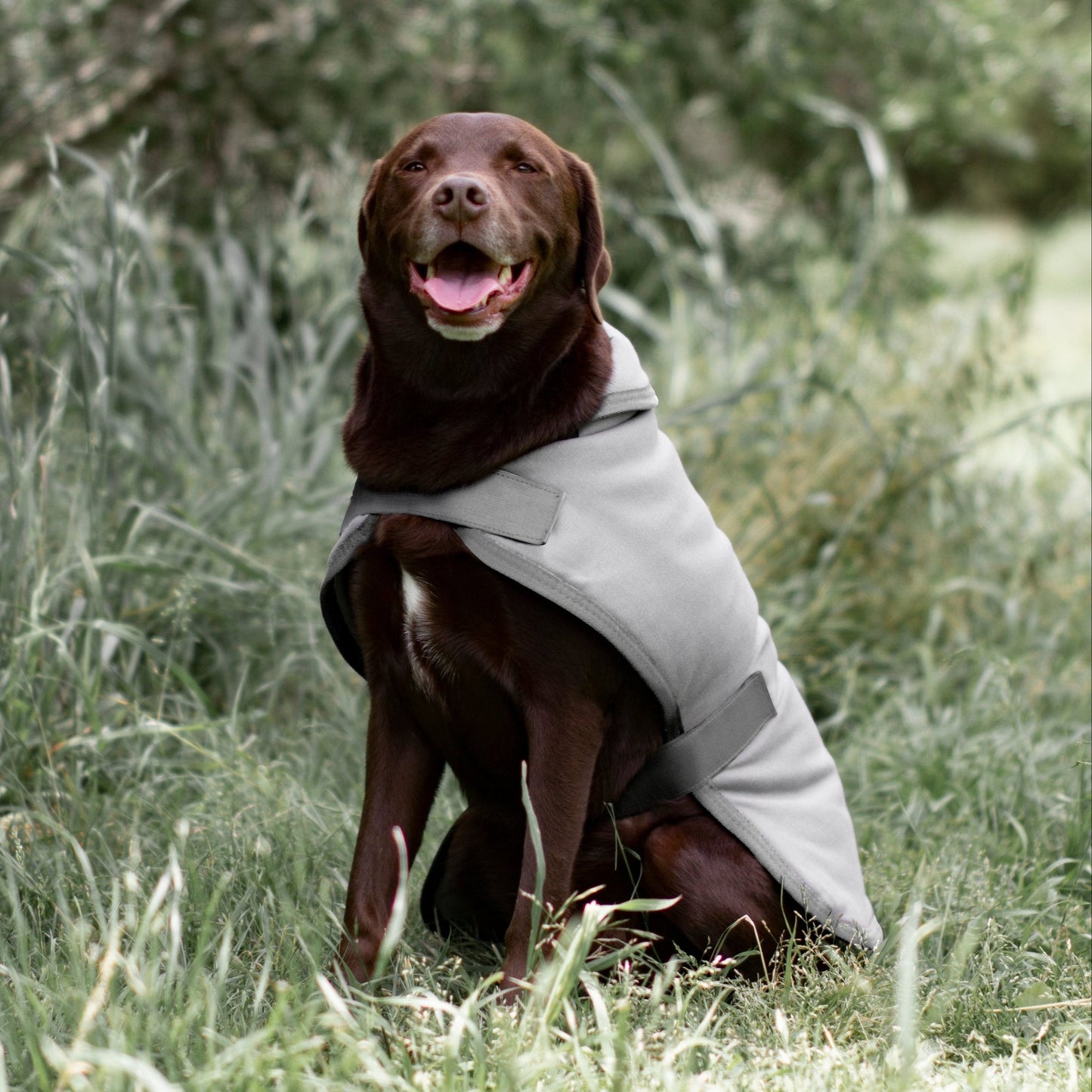 Ruff N Rugged Water - Resistant Grey Canvas Dog Coat - My Pooch and Me