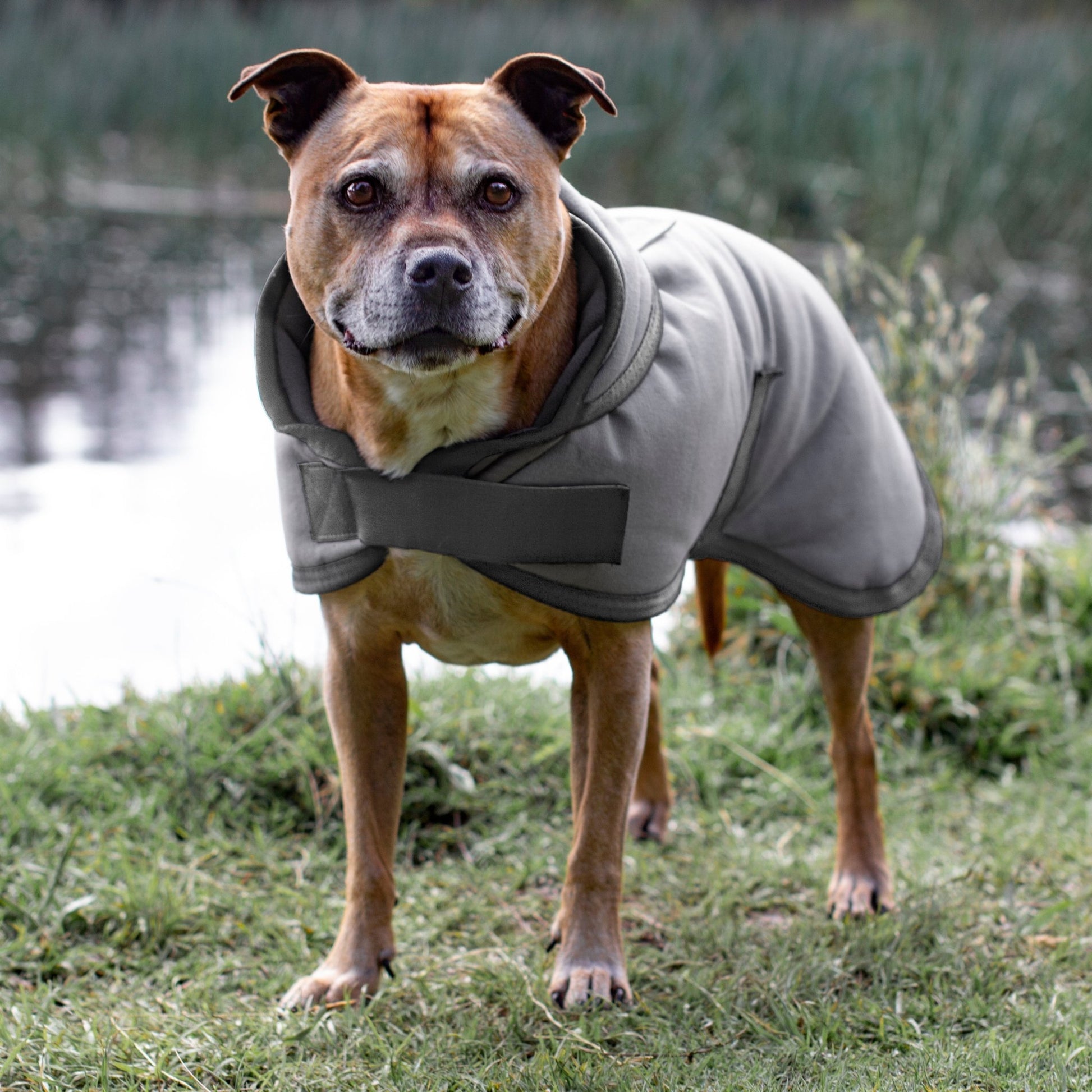 Ruff N Rugged Water - Resistant Grey Canvas Dog Coat - My Pooch and Me