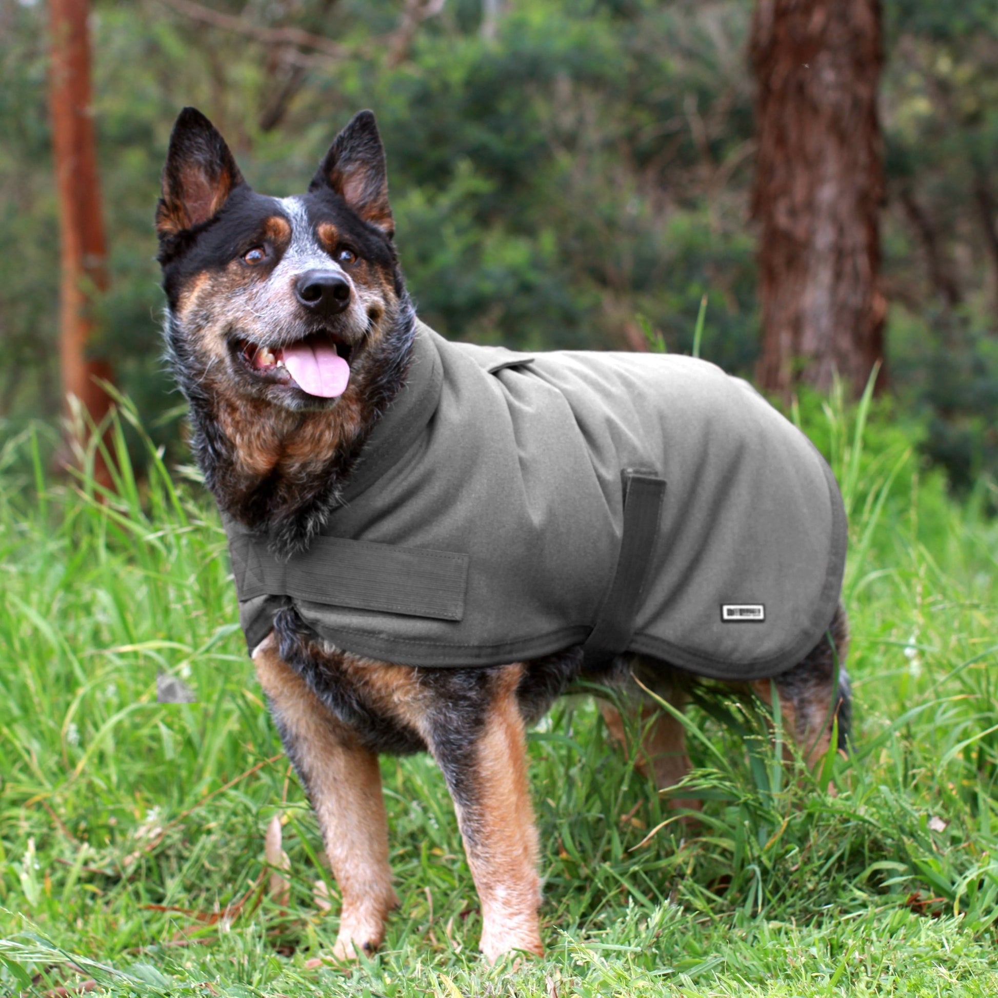 Ruff N Rugged Water - Resistant Grey Canvas Dog Coat - My Pooch and Me