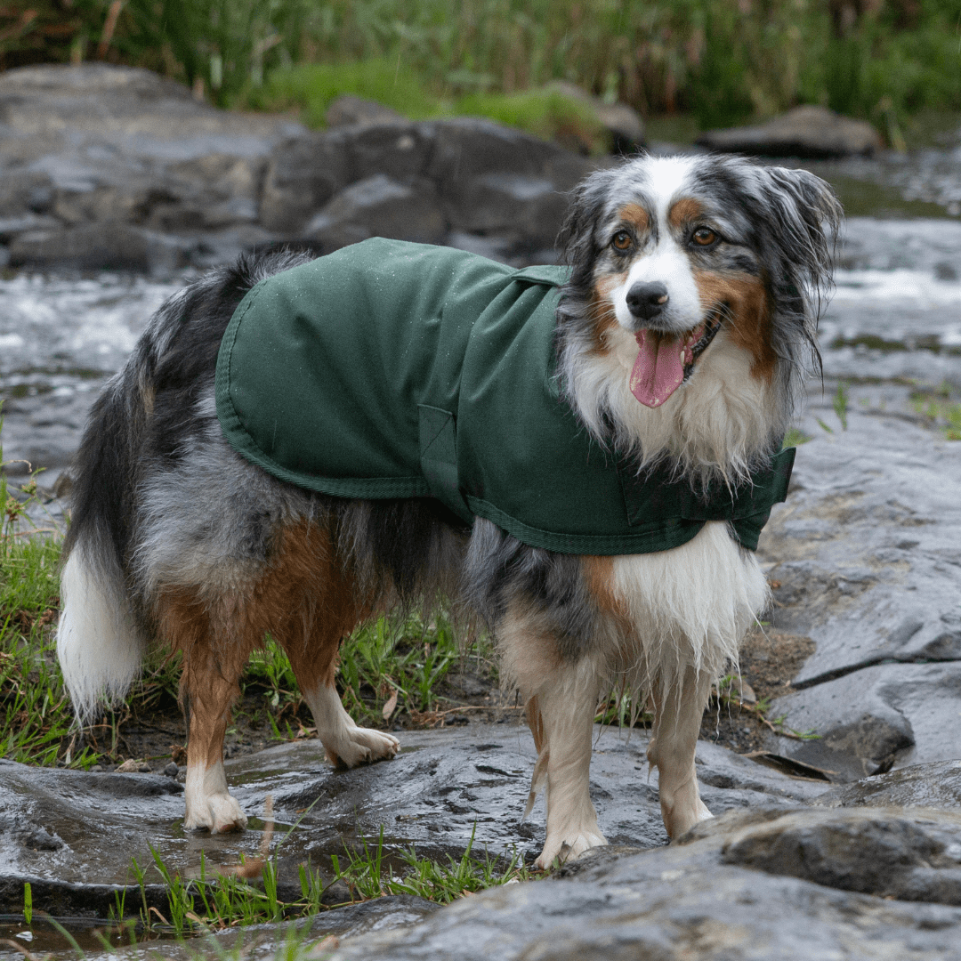 Ruff N Rugged Water-Resistant Moss Green Canvas Dog Coat - My Pooch and Me