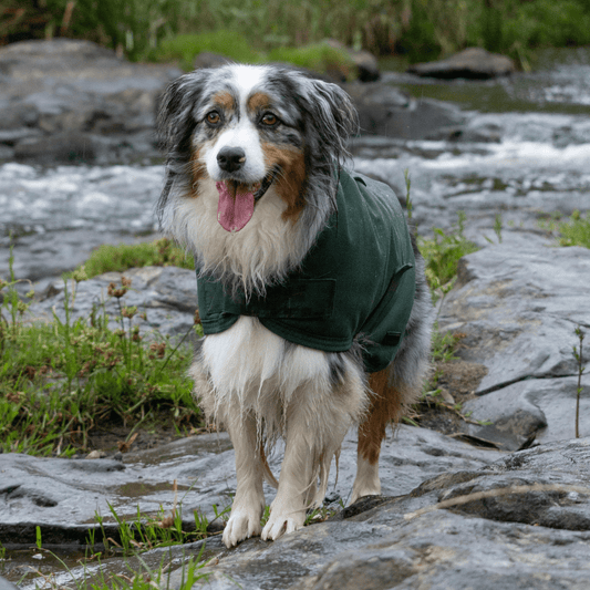 Ruff N Rugged Water-Resistant Moss Green Canvas Dog Coat - My Pooch and Me