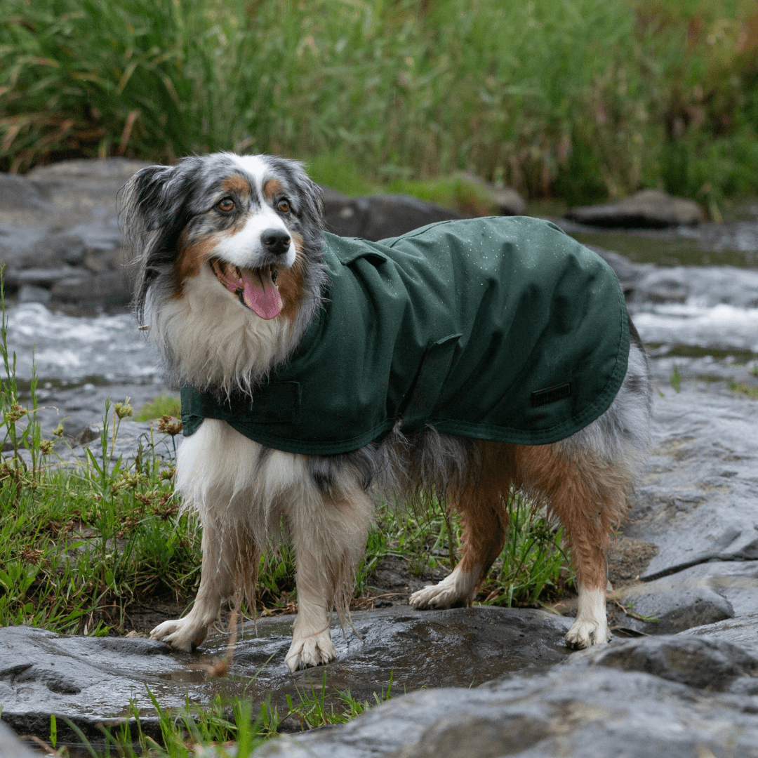 Ruff N Rugged Water-Resistant Moss Green Canvas Dog Coat - My Pooch and Me