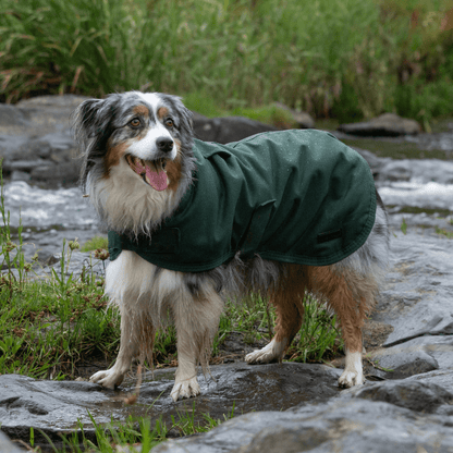 Ruff N Rugged Water-Resistant Moss Green Canvas Dog Coat - My Pooch and Me