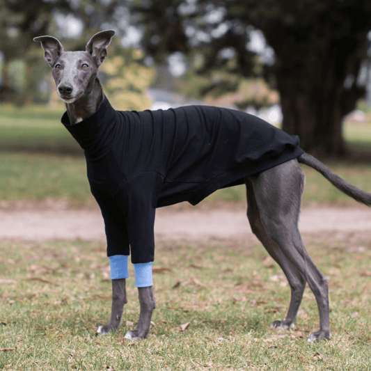 Wriggley Diggley Black All Day Long Dog Jumper - My Pooch and Me