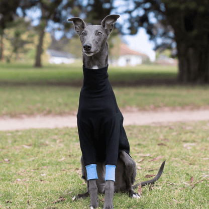 Wriggley Diggley Black All Day Long Dog Jumper - My Pooch and Me