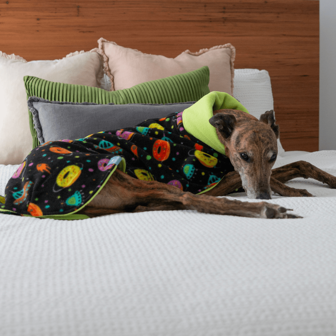 Wriggley Diggley Black Donut Polar Fleece Dog Snug - My Pooch and Me