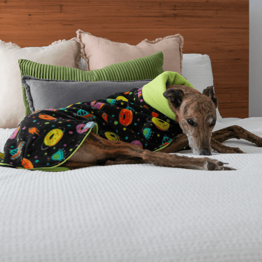 Wriggley Diggley Black Donut Polar Fleece Dog Snug - My Pooch and Me