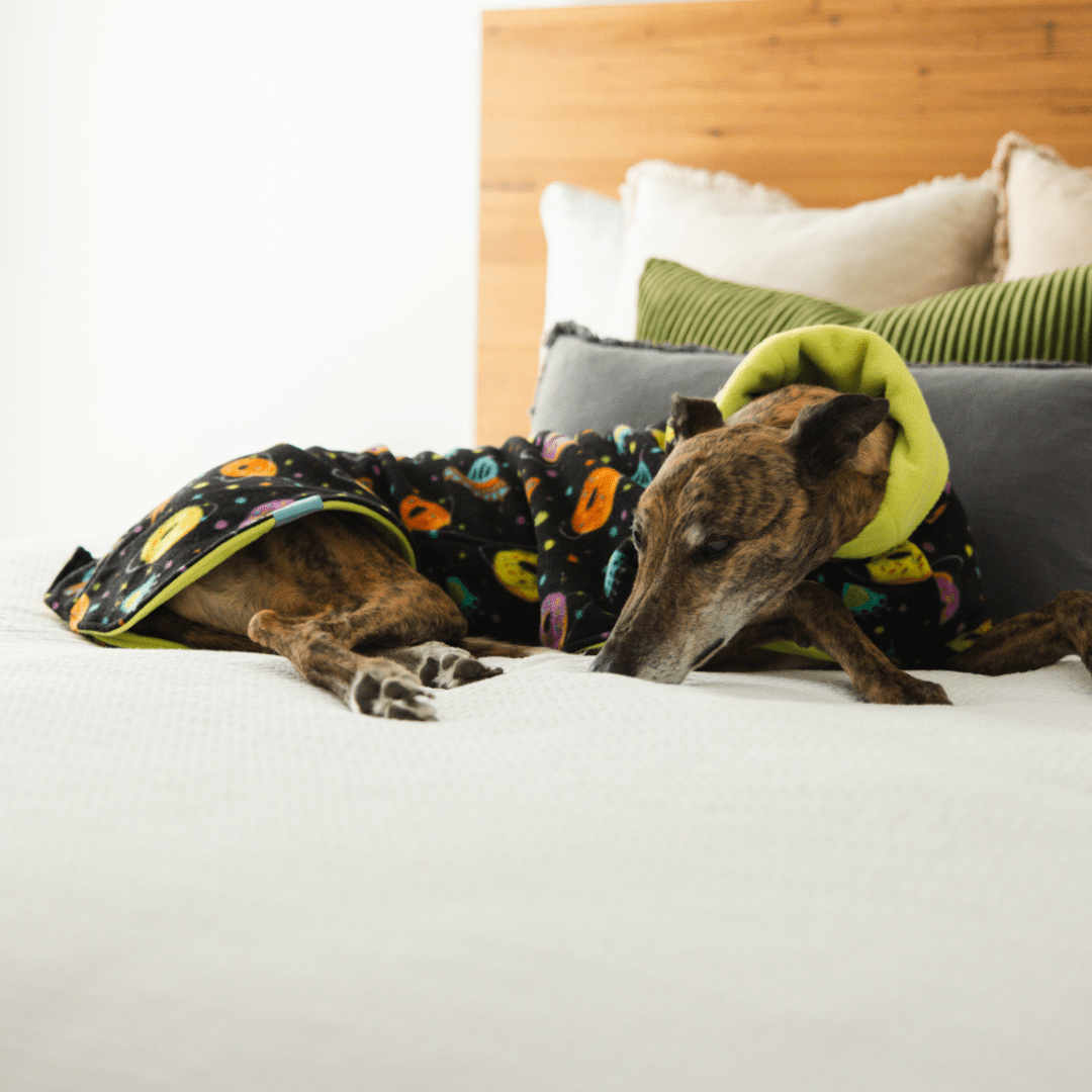 Wriggley Diggley Black Donut Polar Fleece Dog Snug - My Pooch and Me