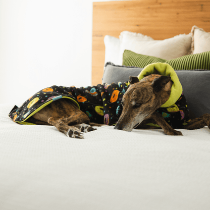 Wriggley Diggley Black Donut Polar Fleece Dog Snug - My Pooch and Me