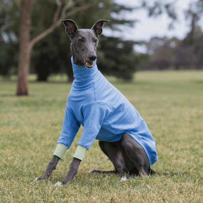 Wriggley Diggley Blue All Day Long Dog Jumper - My Pooch and Me