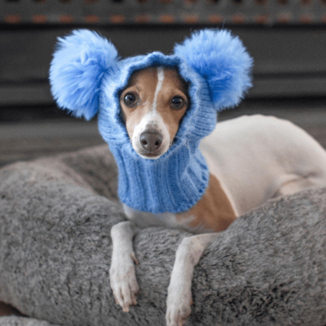 Wriggley Diggley Blue Pom Pom Dog Snood Hood - My Pooch and Me