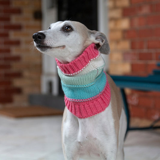 Wriggley Diggley Pastel Stripe Dog Snood - My Pooch and Me