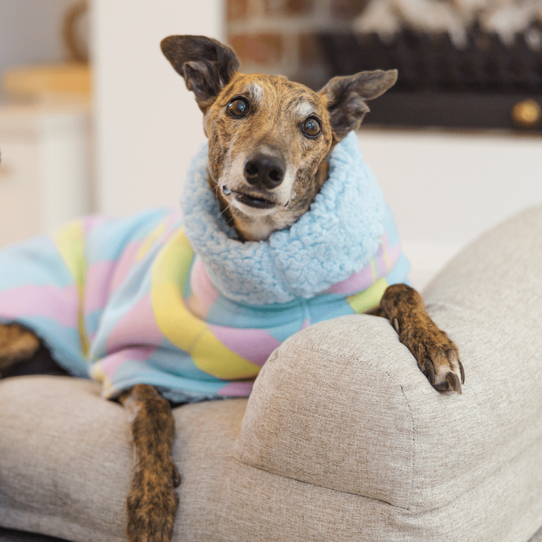 Wriggley Diggley Pastel Sweet Dreams Fleece Dog Snug - My Pooch and Me