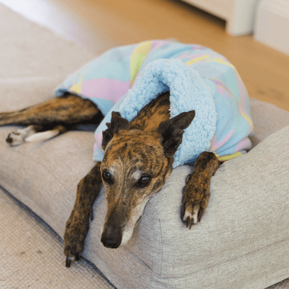Wriggley Diggley Pastel Sweet Dreams Fleece Dog Snug - My Pooch and Me