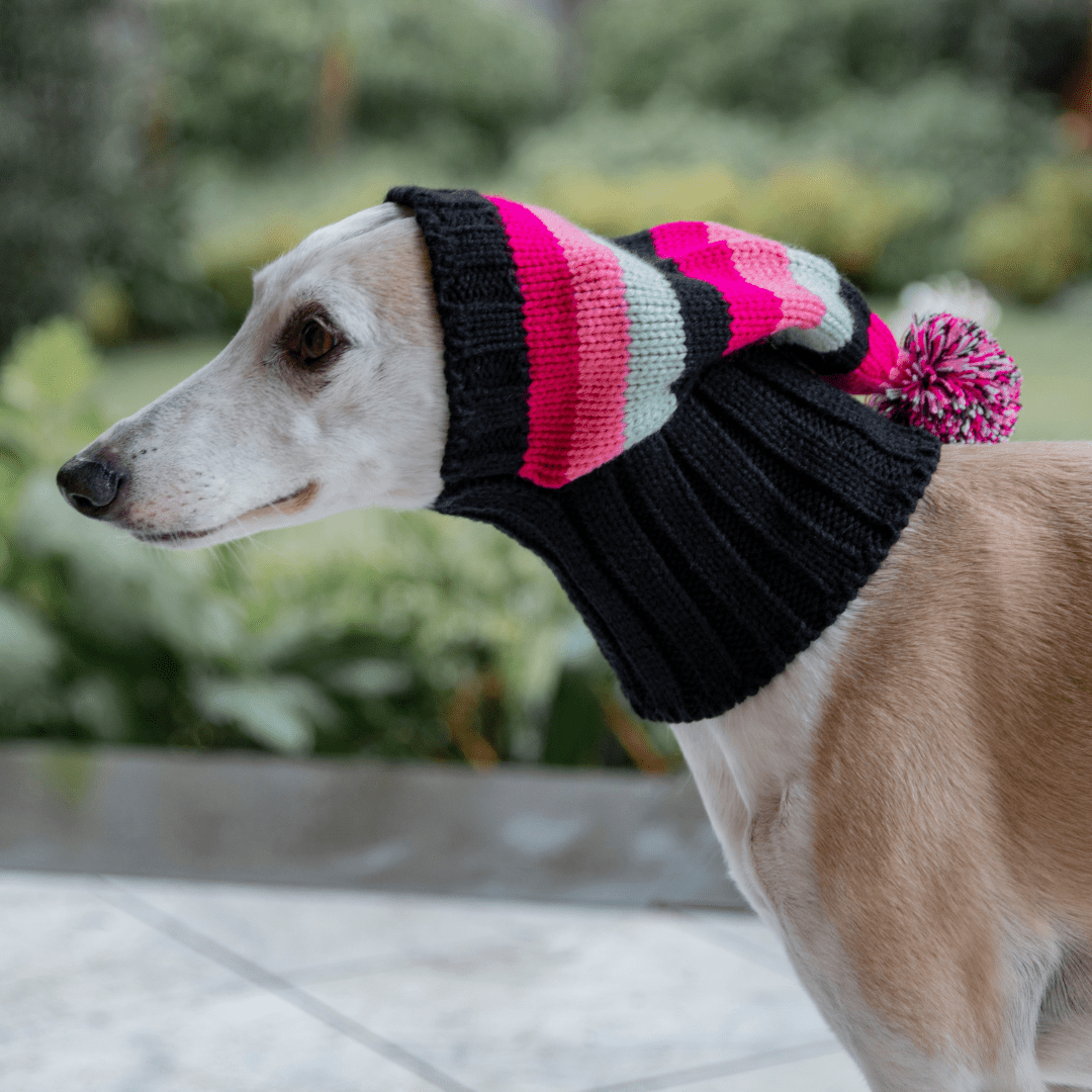 Wriggley Diggley Pink Striped Pom Pom Dog Snood Hood - My Pooch and Me
