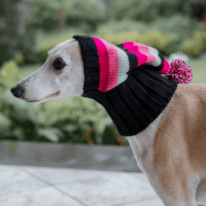 Wriggley Diggley Pink Striped Pom Pom Dog Snood Hood - My Pooch and Me