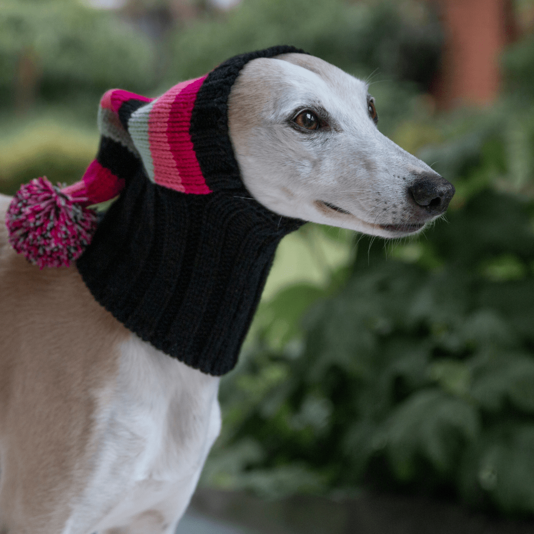 Wriggley Diggley Pink Striped Pom Pom Dog Snood Hood - My Pooch and Me