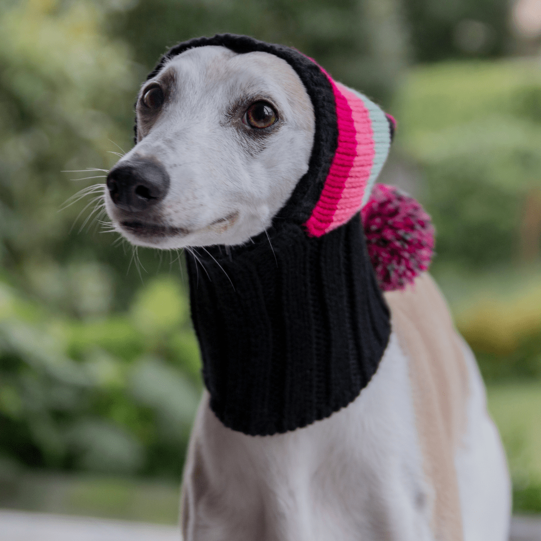 Wriggley Diggley Pink Striped Pom Pom Dog Snood Hood - My Pooch and Me