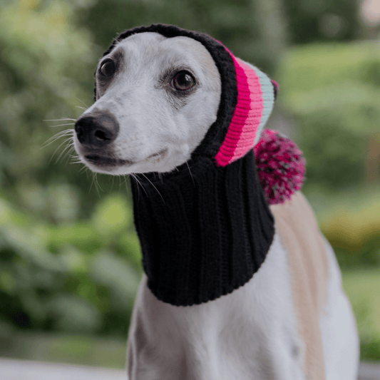 Wriggley Diggley Pink Striped Pom Pom Dog Snood Hood - My Pooch and Me