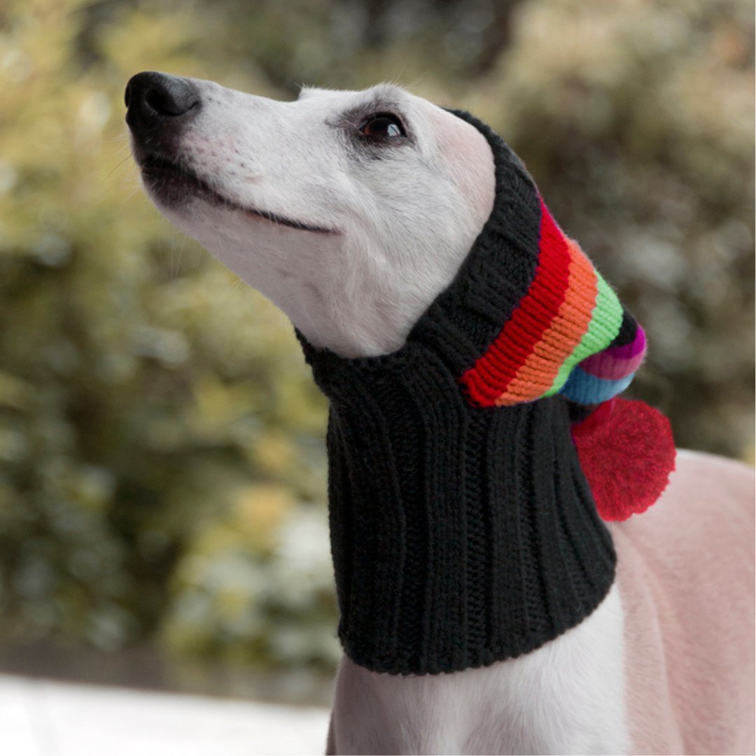 Wriggley Diggley Pom Pom Dog Snood Hood - My Pooch and Me