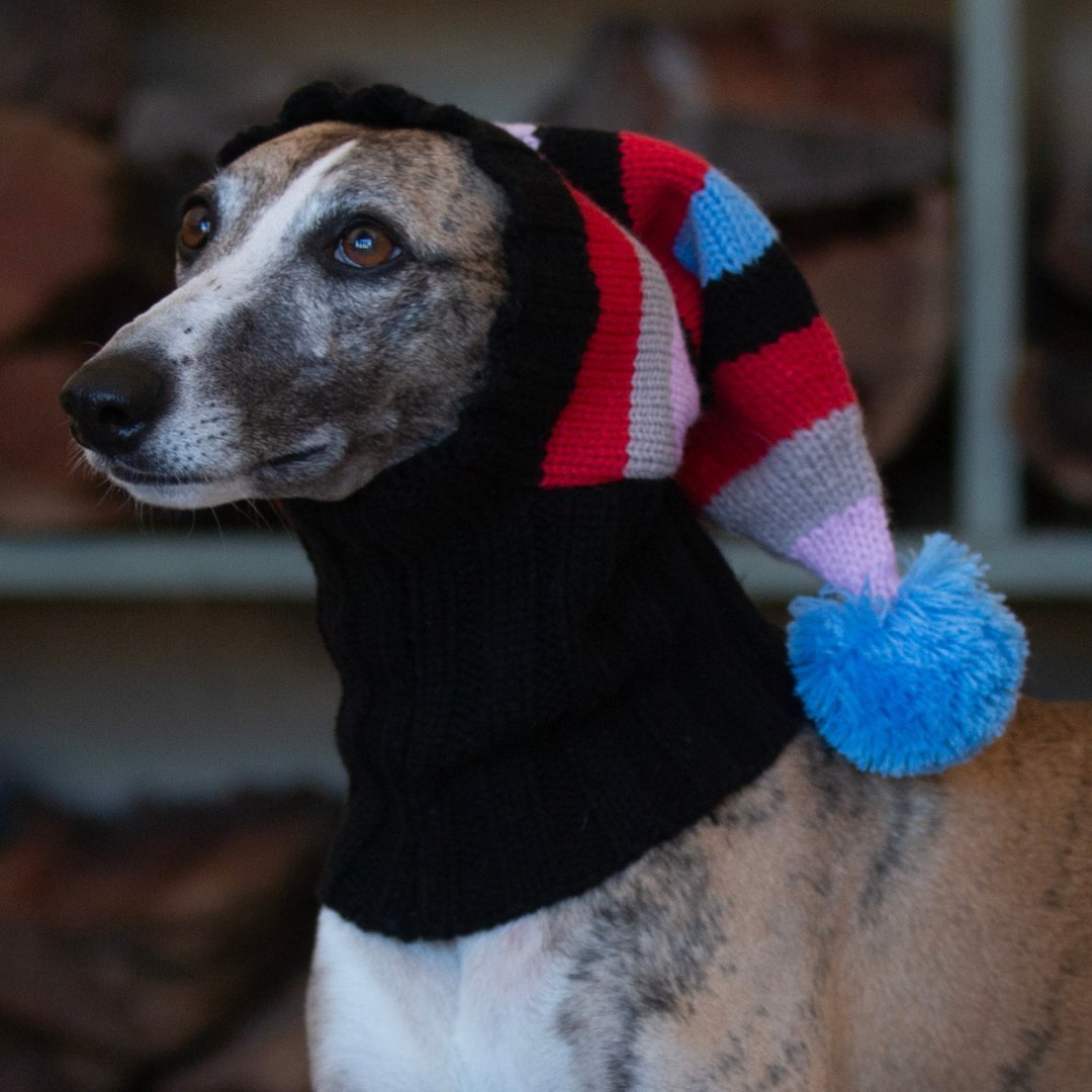 Wriggley Diggley Striped Pom Pom Dog Snood Hood - My Pooch and Me