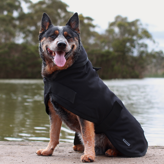Ruff N Rugged Black Oilskin Waterproof Dog Coat