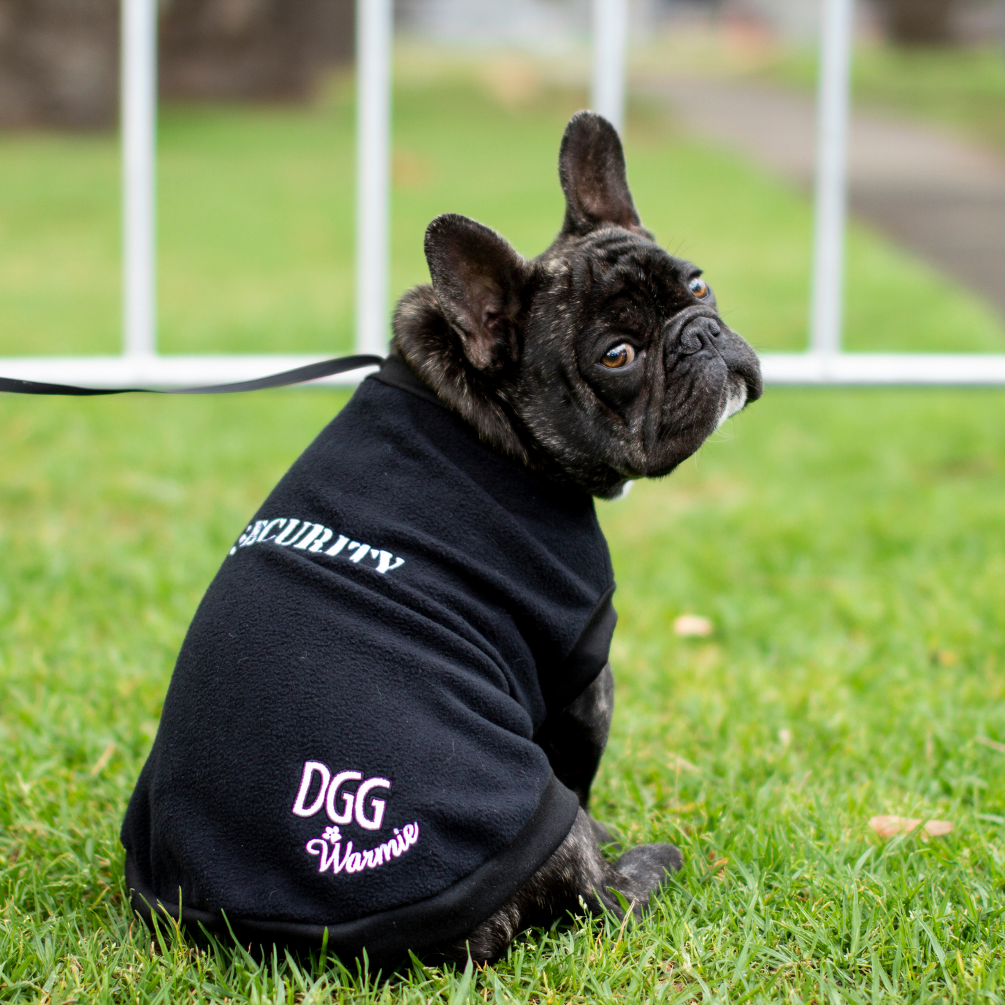 DGG Black Security Dog Jumper