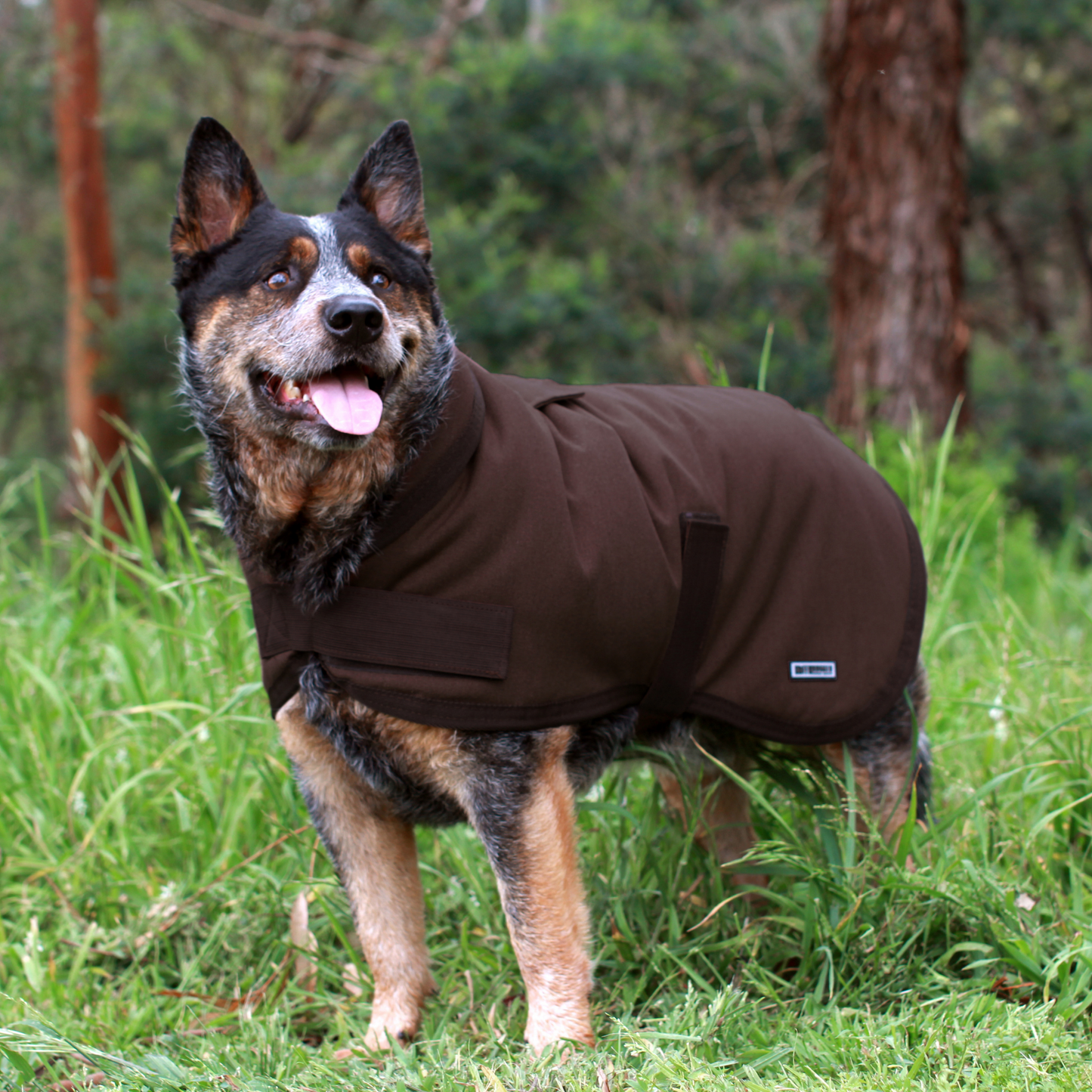 Ruff N Rugged Brown Oilskin Waterproof Dog Coat