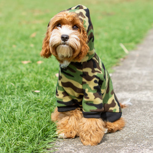 DGG Camouflage Dog Hoodie