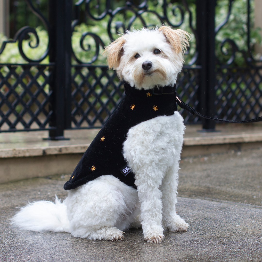 DGG Fashionista Fursace Dog Coat