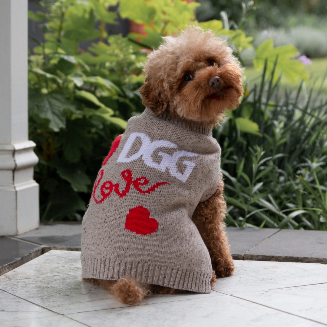 DGG Love Knitted Dog Jumper