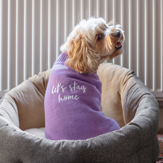 DGG Let's Stay Home Knitted Dog Jumper