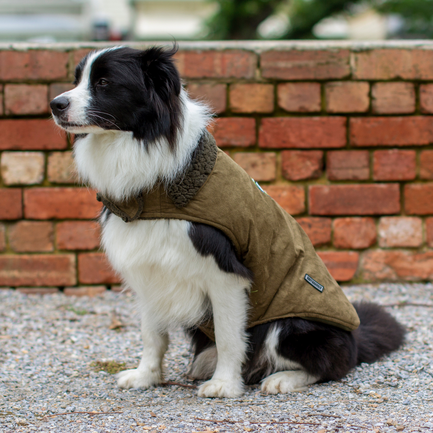 Ruff N Rugged Military Style Dog Coat