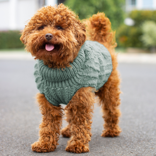 DGG Moss Green Fluffy Cable Knitted Dog Jumper