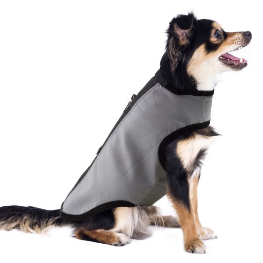 Ruff N Rugged Soft Activewear Dog Coat